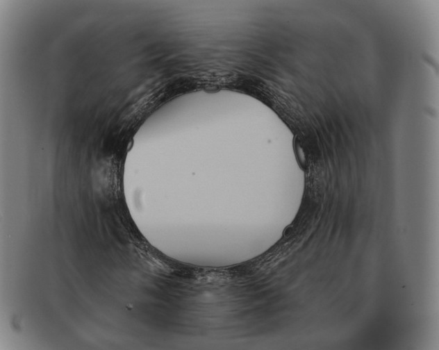 X0000091331058200708311432