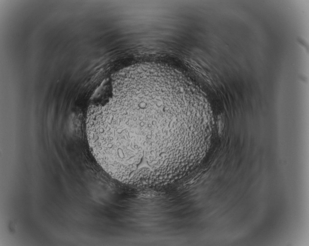 X0000091331059200708311432