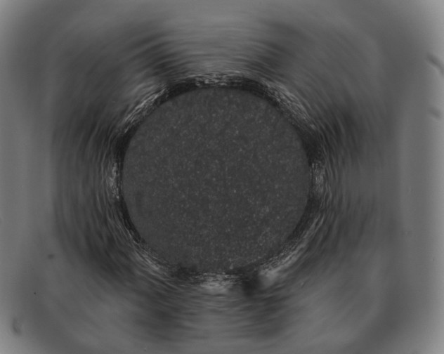 X0000091331060200708311432