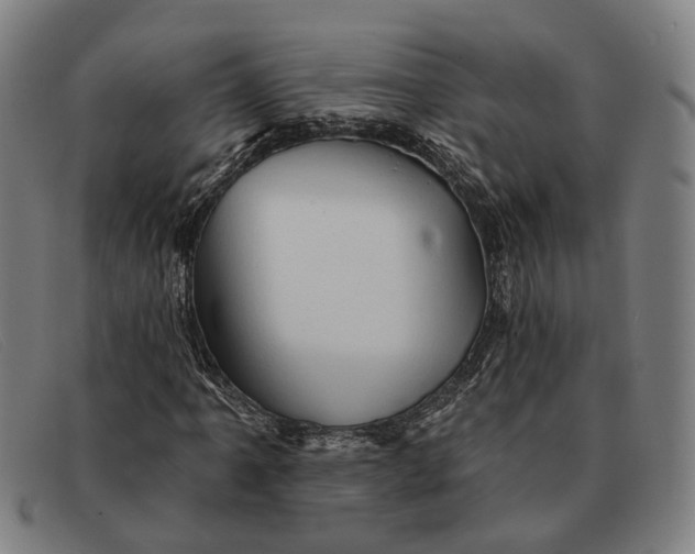 X0000091331061200708311432