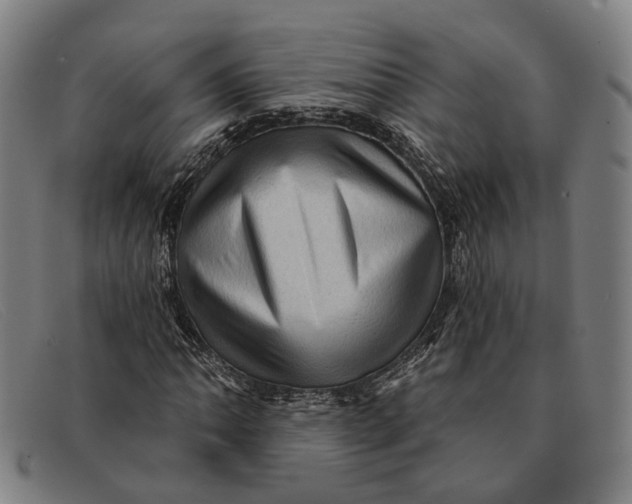 X0000091331062200708311432