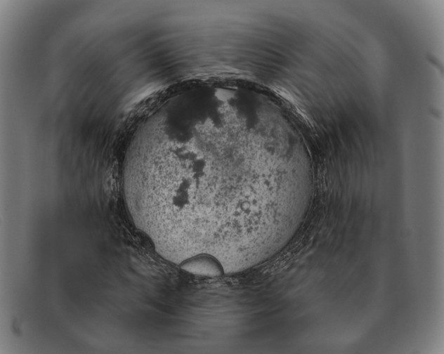 X0000091331063200708311432