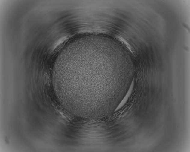 X0000091331064200708311432