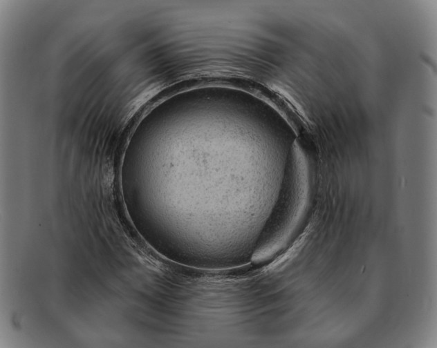 X0000091331065200708311432