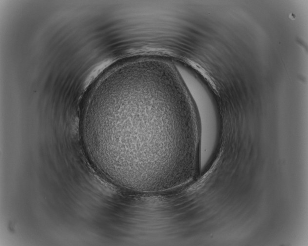 X0000091331066200708311432