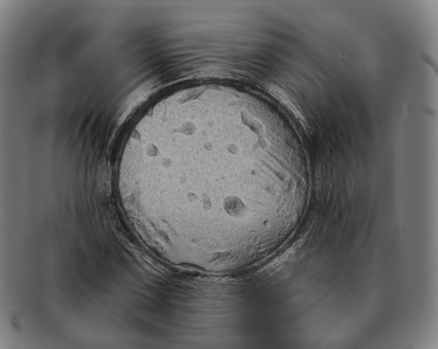 X0000091331067200708311432