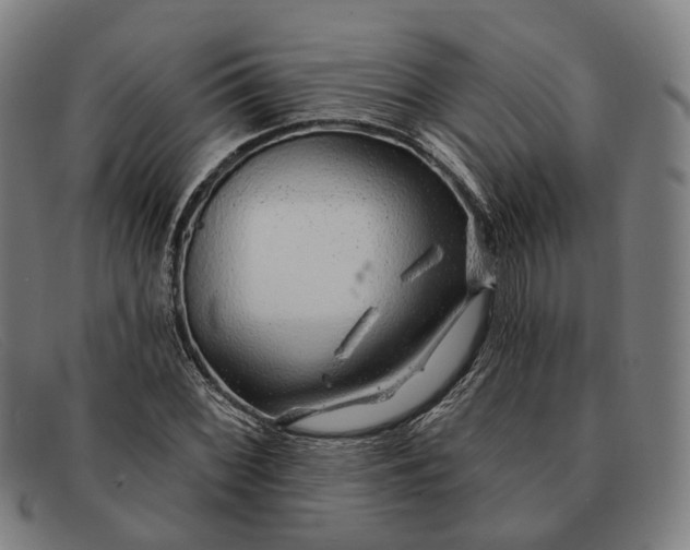 X0000091331068200708311432