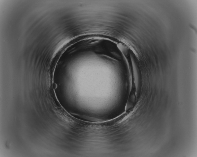 X0000091331069200708311432