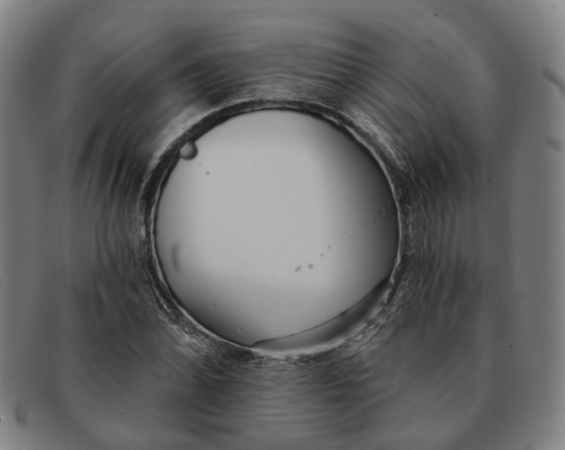 X0000091331070200708311432