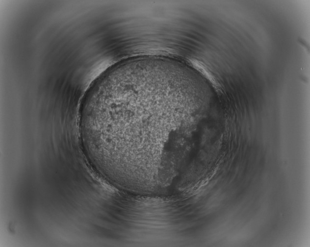 X0000091331071200708311432