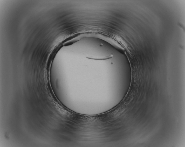 X0000091331072200708311432
