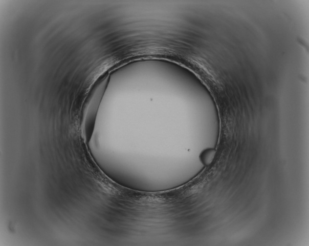 X0000091331073200708311432