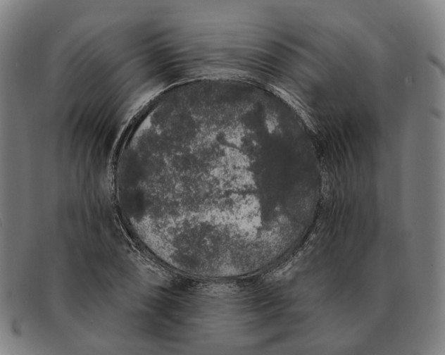 X0000091331074200708311432