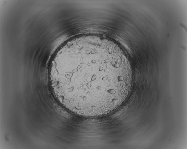 X0000091331075200708311432