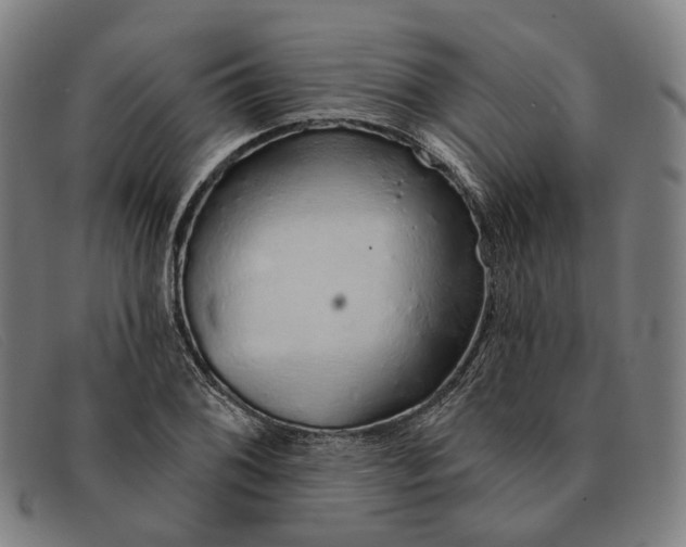 X0000091331076200708311432