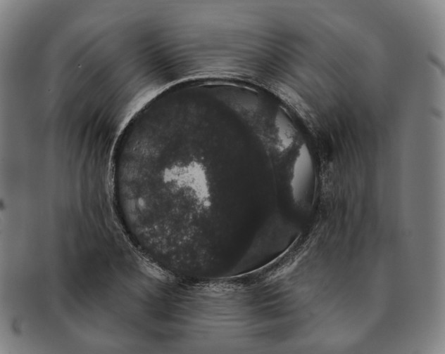 X0000091331077200708311432