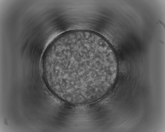 X0000091331078200708311432