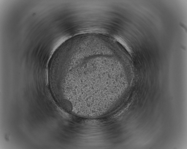 X0000091331079200708311432