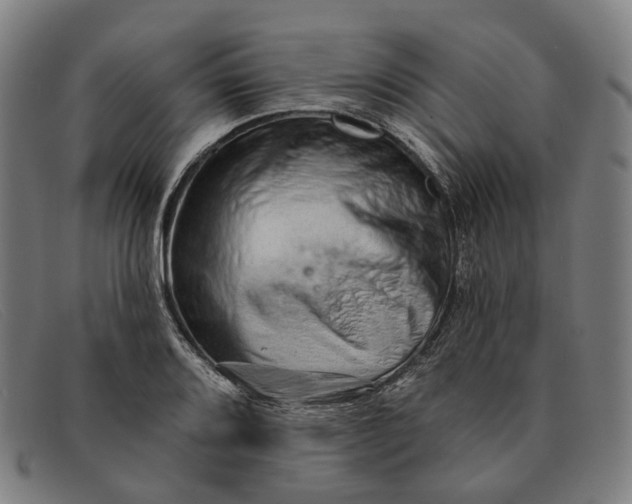 X0000091331080200708311432