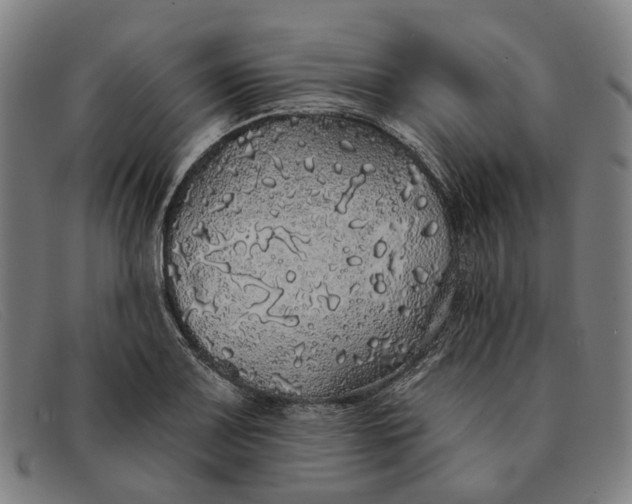 X0000091331083200708311432