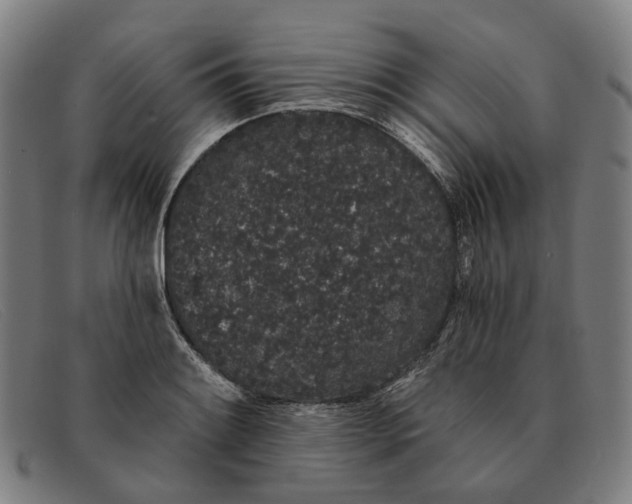 X0000091331084200708311432