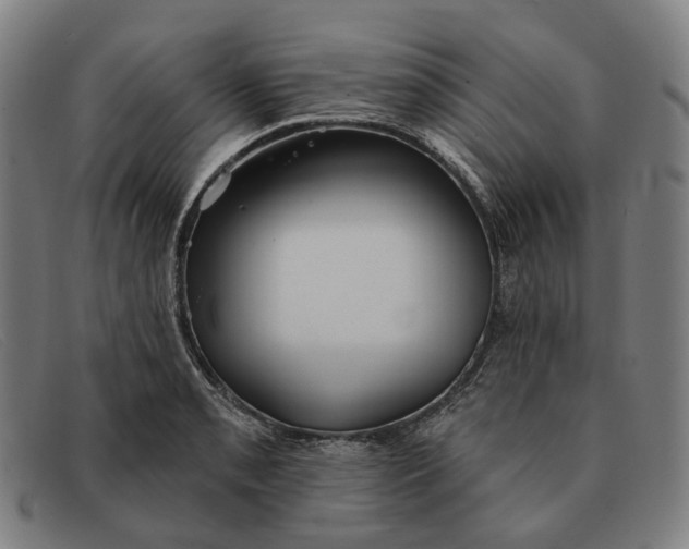 X0000091331085200708311432