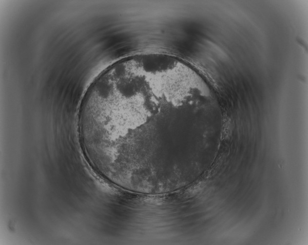 X0000091331086200708311432