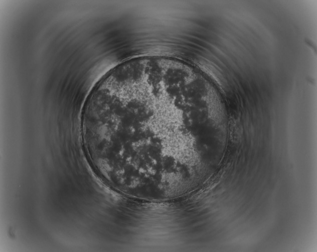 X0000091331087200708311432