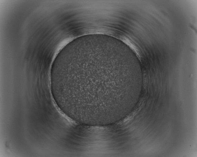 X0000091331088200708311432