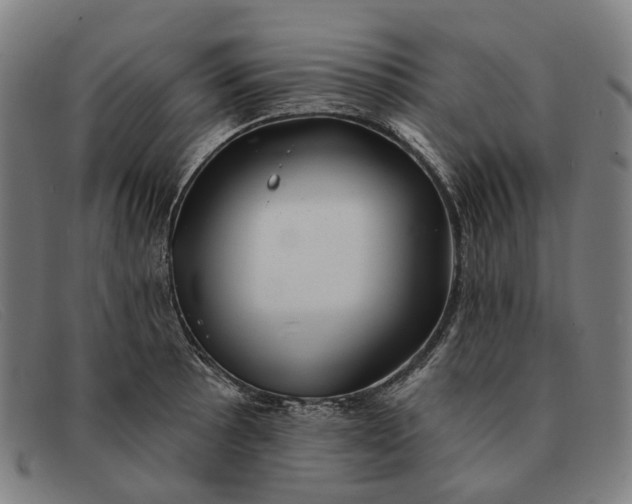 X0000091331089200708311432