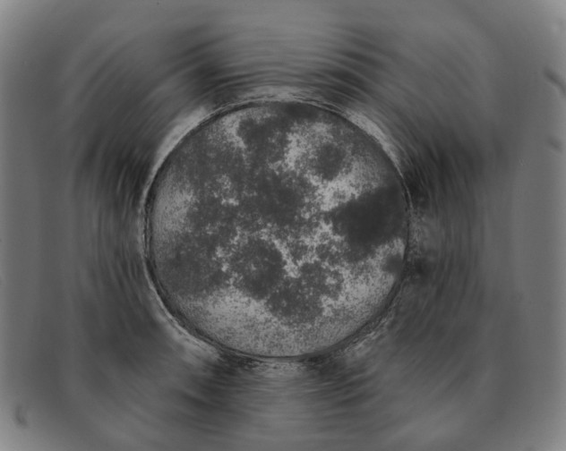 X0000091331090200708311432