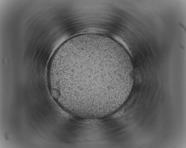 X0000091331091200708311432