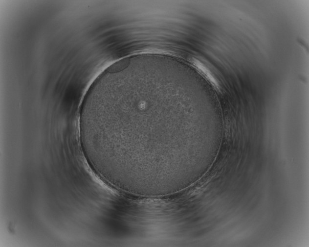 X0000091331092200708311432