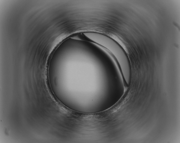 X0000091331093200708311432