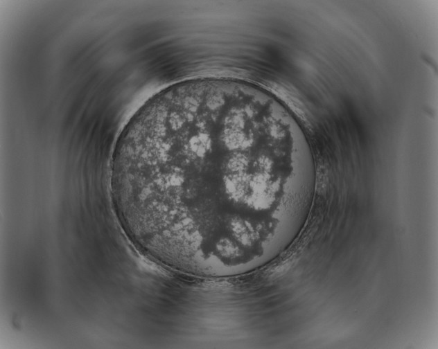 X0000091331094200708311432