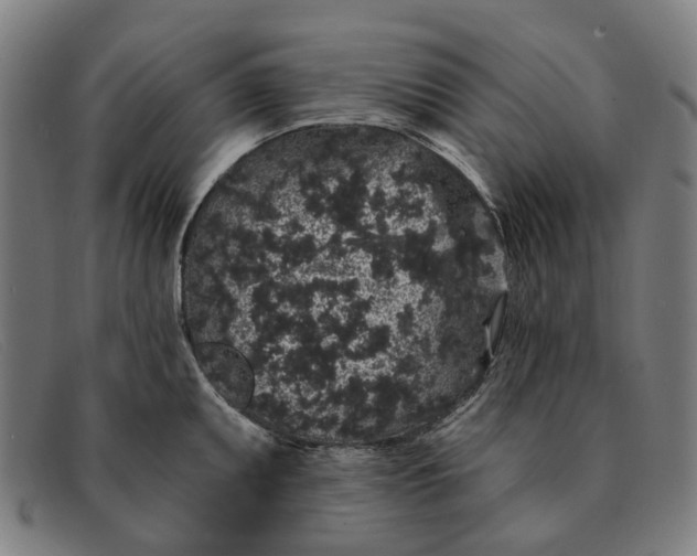 X0000091331095200708311432