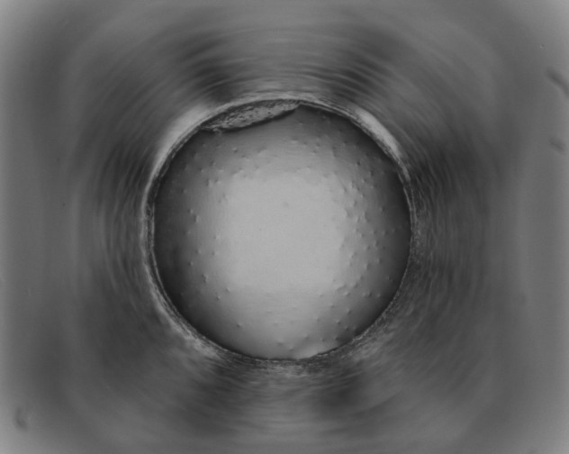 X0000091331096200708311432