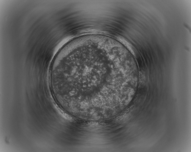 X0000091331098200708311432