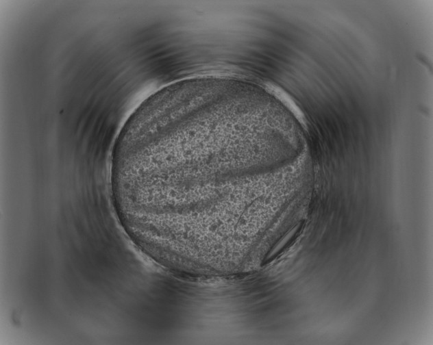 X0000091331099200708311432