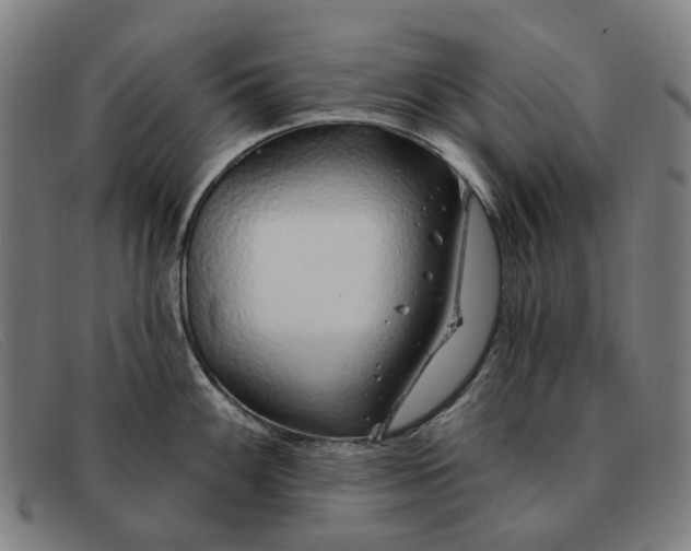X0000091331100200708311432