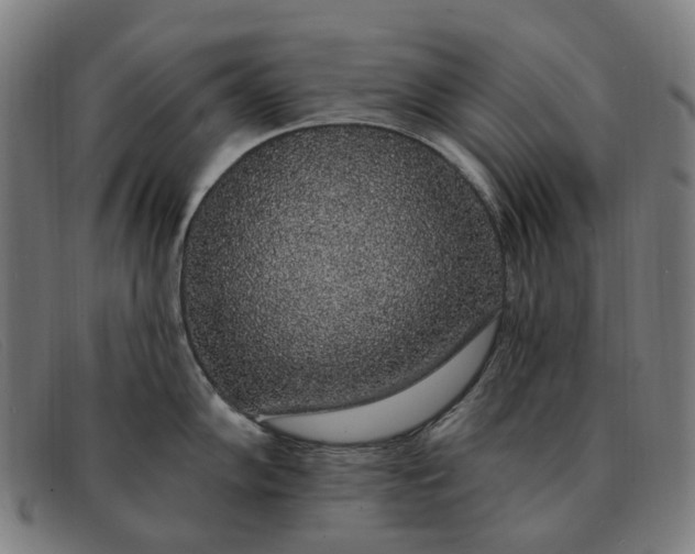 X0000091331102200708311432