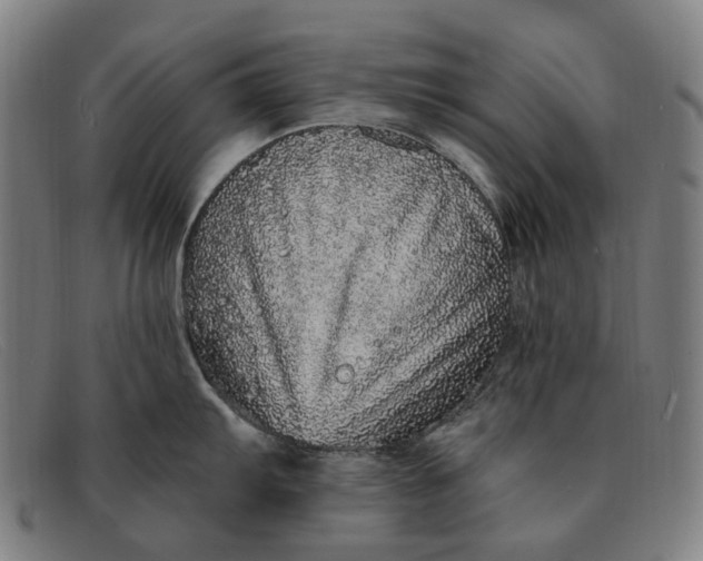 X0000091331103200708311432