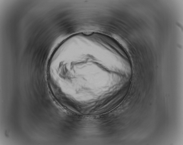X0000091331104200708311432
