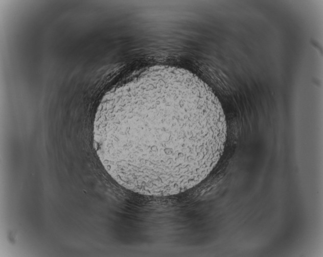X0000091331105200708311431