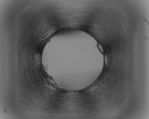 X0000091331107200708311431