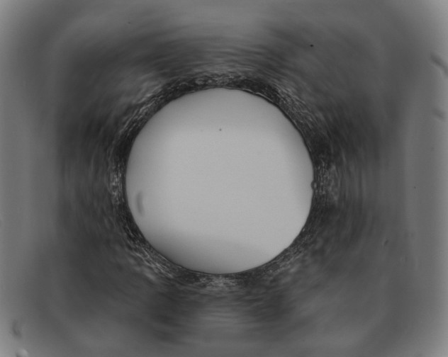 X0000091331109200708311431