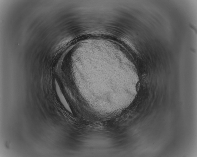 X0000091331111200708311431
