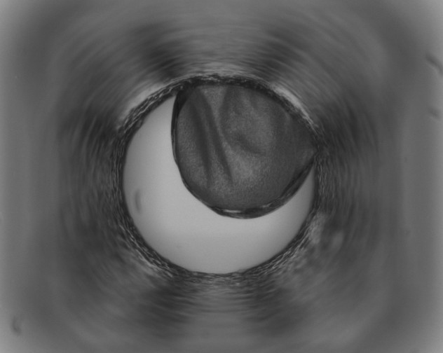 X0000091331112200708311431