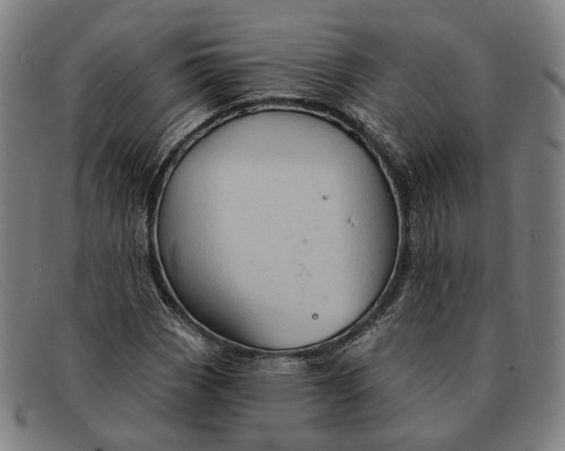 X0000091331113200708311431