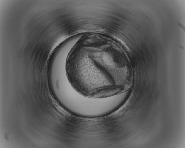 X0000091331114200708311431